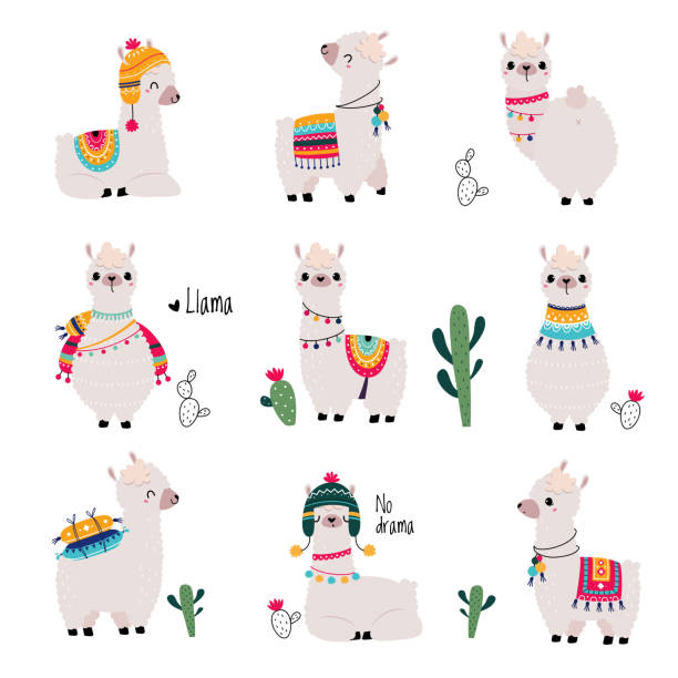 ilustraciones, imágenes clip art, dibujos animados e iconos de stock de linda llama esponjosa o alpaca camelid pack animal vector set - alpaca