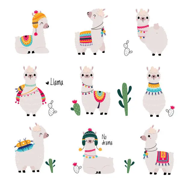 Vector illustration of Cute Fluffy Llama or Alpaca Camelid Pack Animal Vector Set