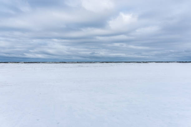 istock Frozen Baltic Sea Coast in Late Winter on a Cloudy Day 1305928258