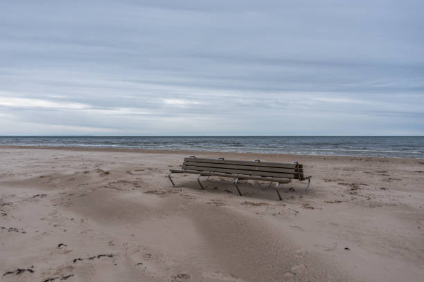 istock Empty Bench on a Windswept Baltic Seacoast Beach on a Winter Day 1305928420