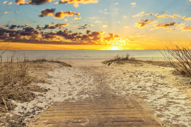istock Frozen Baltic Sea Coast in Late Winter at Sunset 1305928578