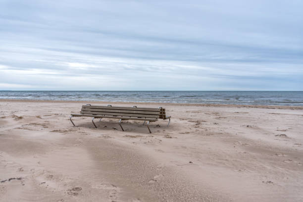 istock Empty Bench on a Windswept Baltic Seacoast Beach on a Winter Day 1305929489
