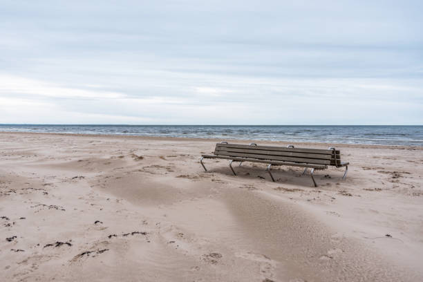 istock Empty Bench on a Windswept Baltic Seacoast Beach on a Winter Day 1305929753
