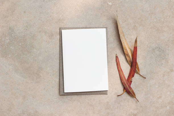 istock Summer wedding stationery mock-up scene. Blank greeting card, invitation with craft envelope and dry red eucalyptus leaves. Elegant beige marble background in sunlight, shadows. Flat lay, top view. 1305932640