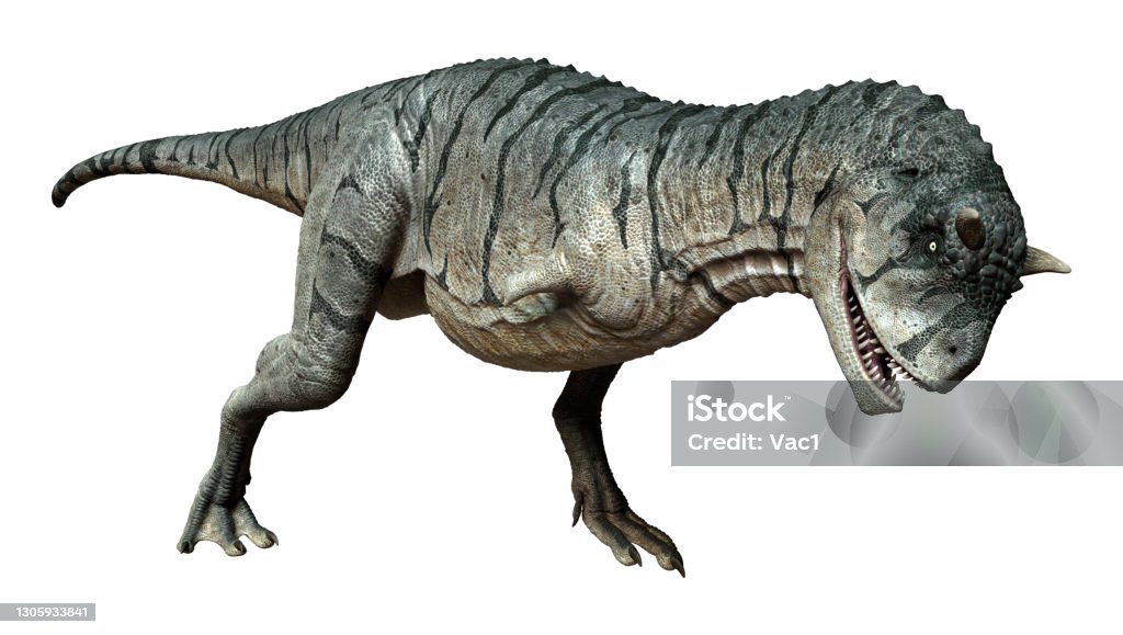 Ilustración En 3d Dinosaurio Carnotaurus Sastrei Sobre Blanco Foto de stock  y más banco de imágenes de Carnotaurus - iStock