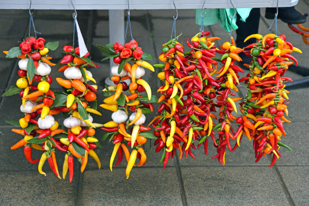 ajo de chile colgante - garlic hanging string vegetable fotografías e imágenes de stock