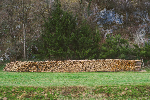 Interesting stack of wood, lview from a distance