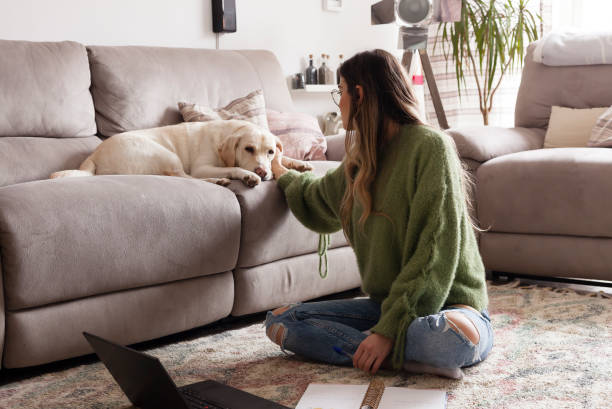 istock Woman working from home 1305935238