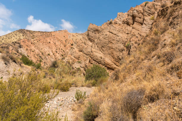 istock mountainous and eroded landscape in southern Spain 1305935582