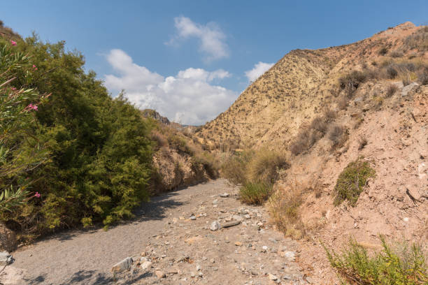 istock mountainous and eroded landscape in southern Spain 1305935647