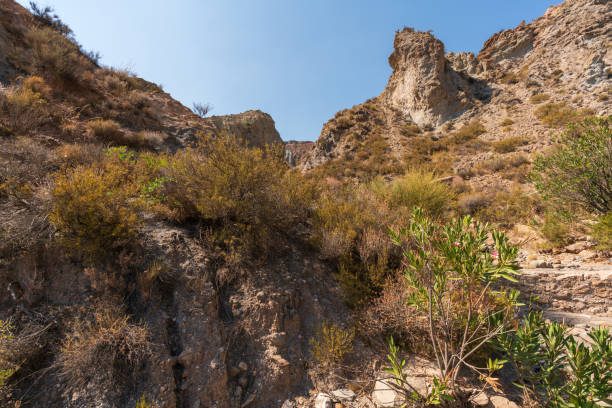 istock mountainous and eroded landscape in southern Spain 1305936241