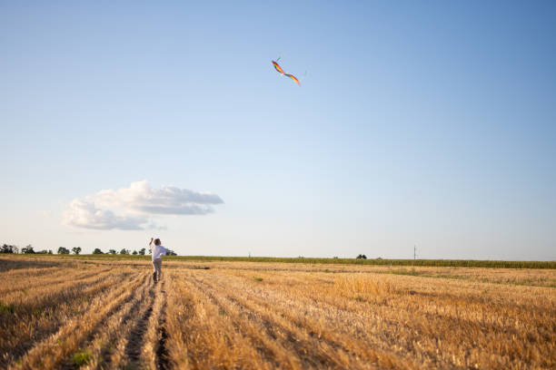 istock A boy with a kite runs through the field 1305938698