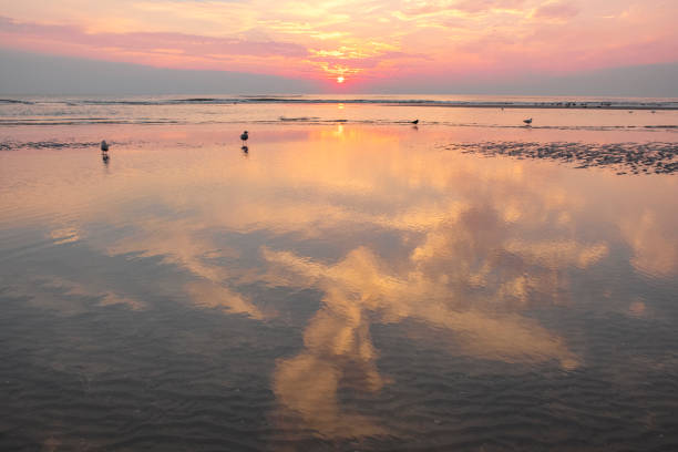 Summer sunset at the sand beach of the North Sea shore on the coast line in The Netherlands at the end of a beautiful warm summer day in August.
