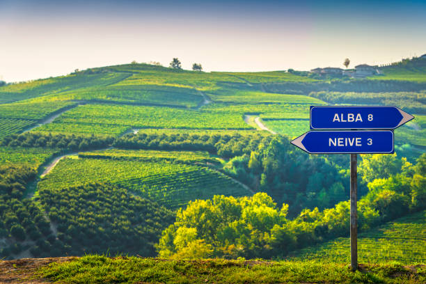 Road sign Alba and Neive in Langhe region and vineyards. Piedmont, Italy Road sign Alba and Neive towns in Langhe region and vineyards on background. Piedmont, Italy cuneo stock pictures, royalty-free photos & images