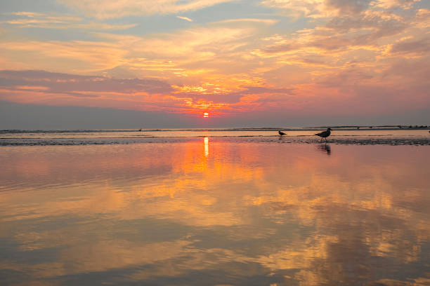 istock Sunset at the beach during summer with a calm sea 1305939856