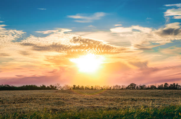 istock Summer sunset in the clouds over the field 1305943122