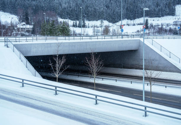 istock Road bridge spanning over a highway covered in snow and ice on a cold grey winters day. 1305943695