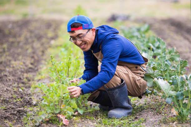 istock A happy Farmer working in his field 1305944413