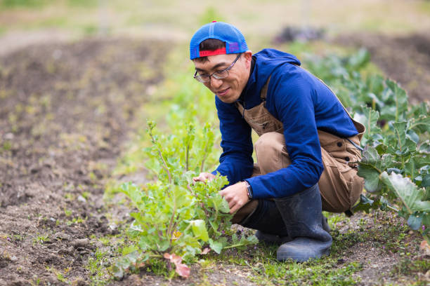 istock A happy Farmer working in his field 1305944416
