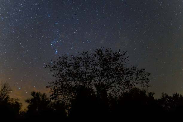 istock Orion constellation above a night forest silhouette, night starry sky scene 1305944586