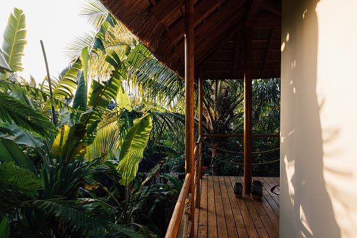 A wooden deck and tropical foliage at sunset.