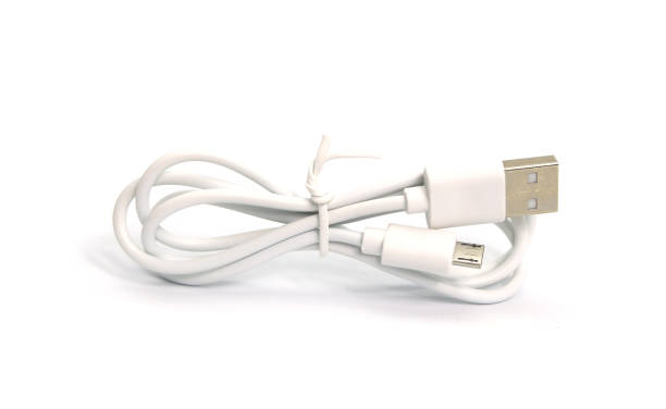 istock Close up white USB and micro USB cable plug isolated on white background 1305947418