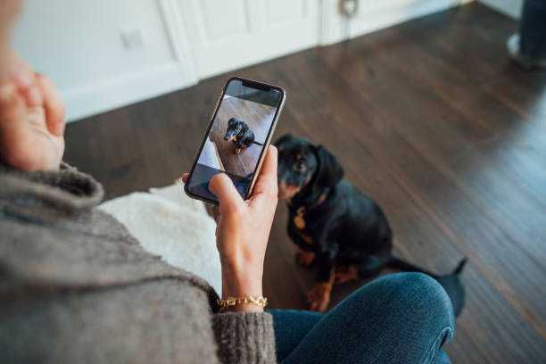 istock Puppy Memories 1305947729