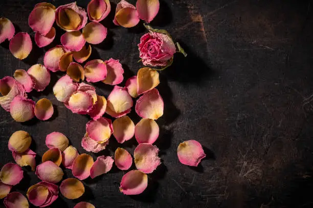Rose petals for tea dried are edible flowers and get a floral touch in tea