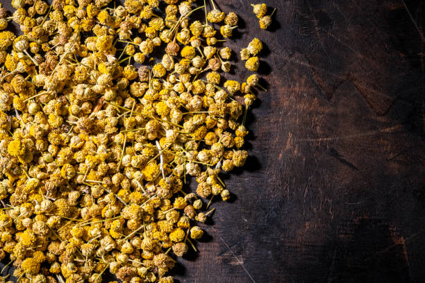 Chamomile dried flower for tea on dark wood background, Santolina Chamaecyparissus. Manzanilla Mahon