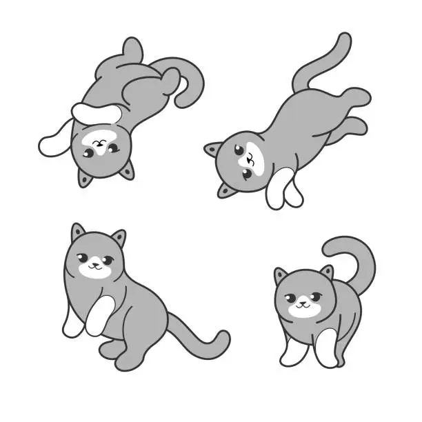 Vector illustration of cat