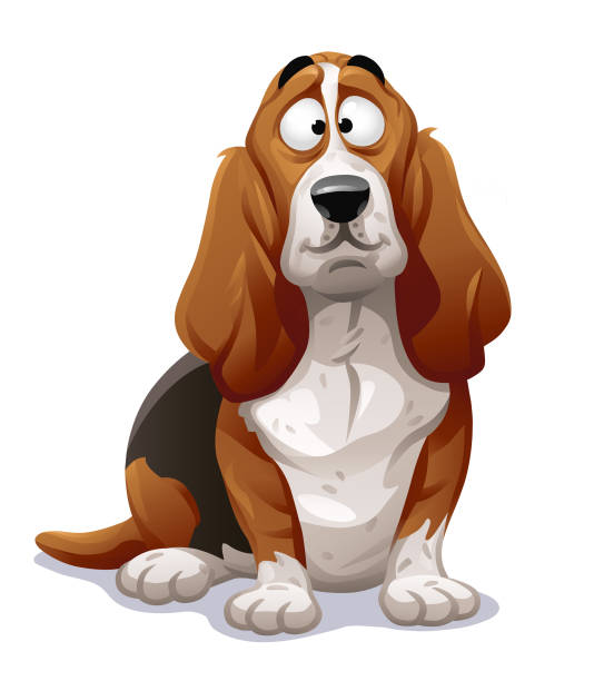 ładny pies- basset hound - dog mixed breed dog puppy white background stock illustrations