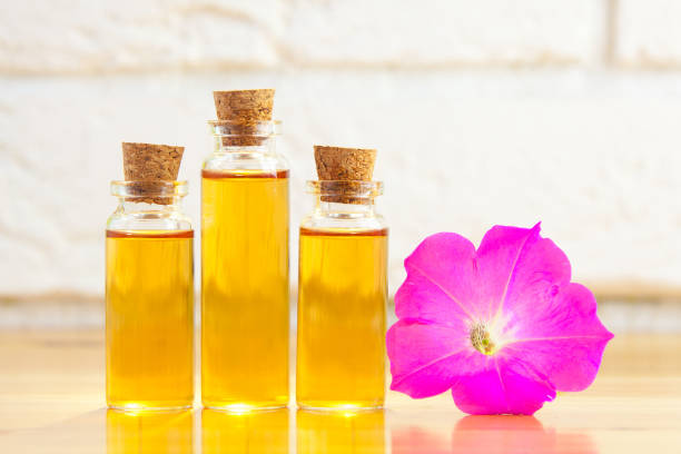 istock petunia essential oil in  beautiful bottle on table 1305951309