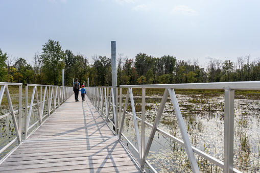 Mother and Son Crossing Wooden Bridge over water at Parc national de Plaisance, Quebec, Canada. The name of the footpath is La Zizanie-des-marais.