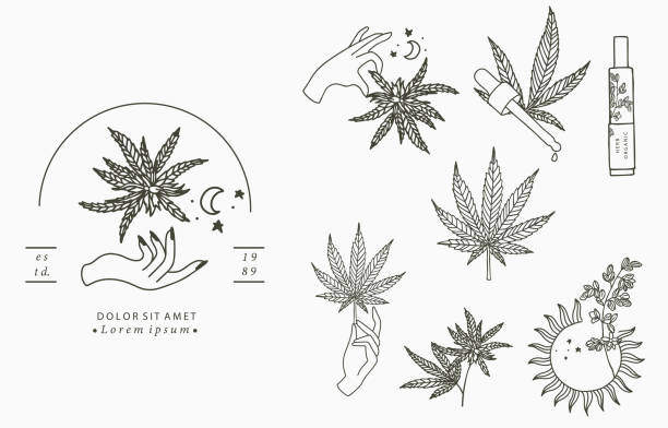 Cute object cannabis collection.Vector illustration for icon,sticker,printable cannabis collection with bottle,sun,hand.Vector illustration for icon,sticker,printablecannabis collection with bottle,oil.Vector illustration for icon,sticker,printablecannabis collection.Vector illustration for icon,sticker,printable marijuana tattoo stock illustrations