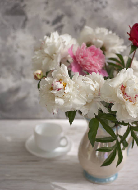 istock Still life with white and pink peonies in a white vase 1305957918