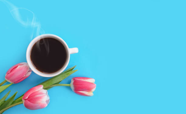 istock cup of coffee. tulip flower on colored background 1305960616