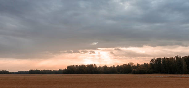 istock Landscape in a field at sunset with the sun's rays making their way through the clouds. 1305961713