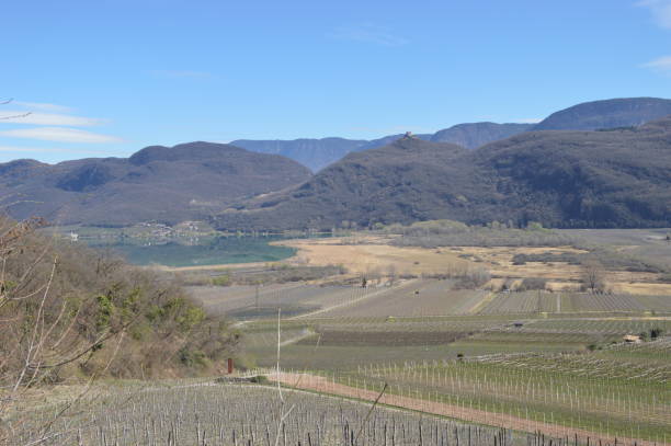 istock View to Lago di Caldaro early spring 1305962088