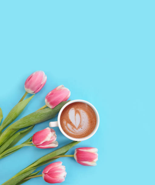 istock cup of coffee. tulip flower on colored background 1305962621
