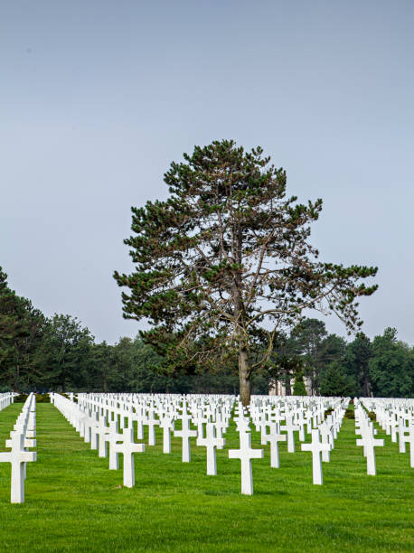 istock military cemetery in Normandy 1305964782