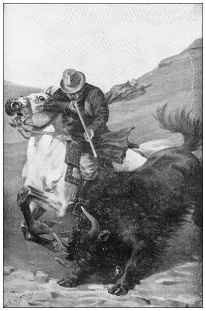 ilustrações, clipart, desenhos animados e ícones de ilustração antiga: matando um bisão - illustration and painting rifle hunting old fashioned