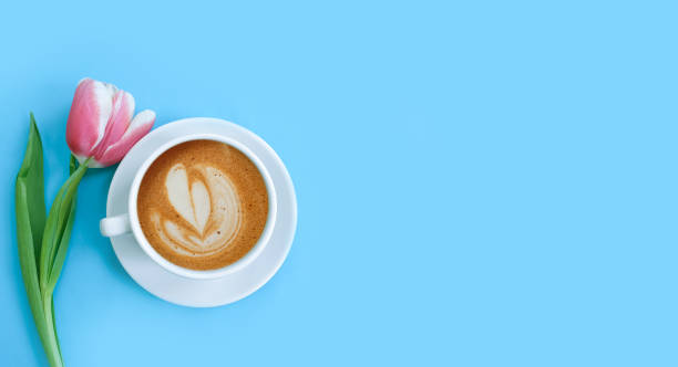 istock cup of coffee. tulip flower on colored background 1305966226