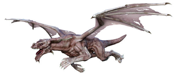 istock 3D illustration fantasy dragon on white 1305966709