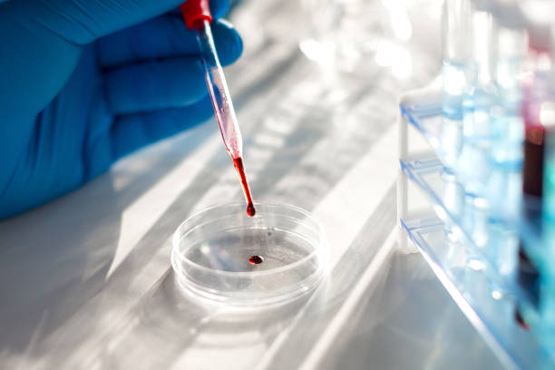 Researcher's hands in the laboratory is working on a vaccine against the virus. Drop of blood in a dropper stock photo