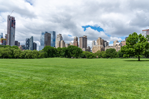 El prado de Central Park y rascacielos en la ciudad de Nueva York, EE.UU. photo