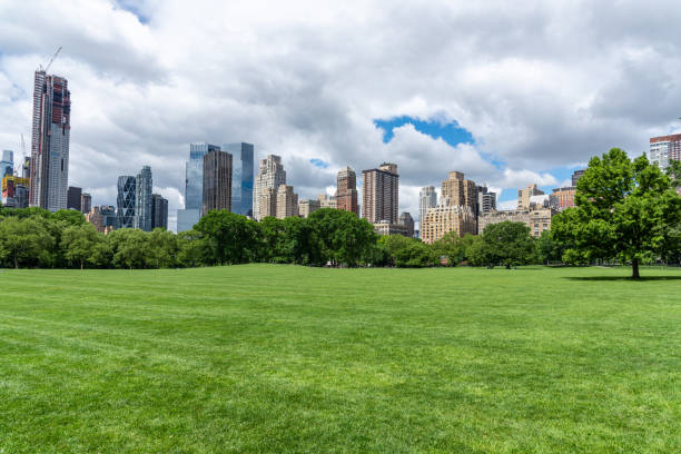 the meadow of central park and skyscrapers in new york city, usa - landscape city manhattan skyline imagens e fotografias de stock