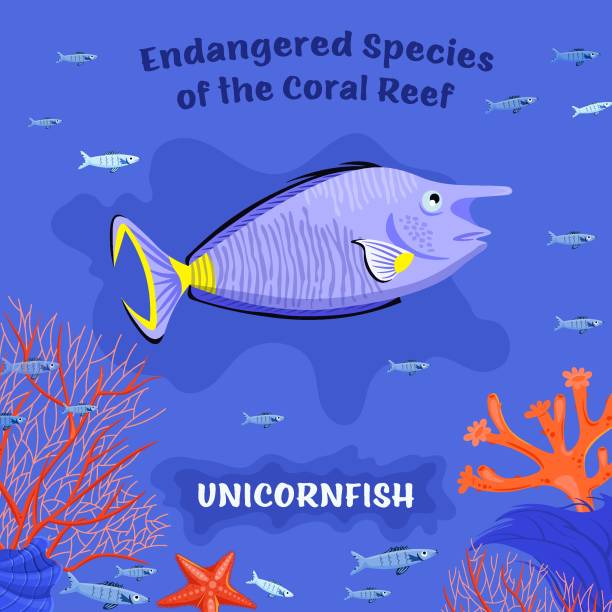 Endangered reef fish Coral reef inhabitants. Endangered fish species. Threatened fish stocks. Unicornfish. Save the ocean concept. Editable vector illustration in bright colors. Colorful cartoon flat style. unicorn fish stock illustrations