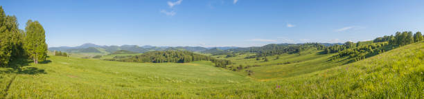 istock Green meadows and fields, blue sky. Hilly terrain, blue sky, spring view. 1305971132