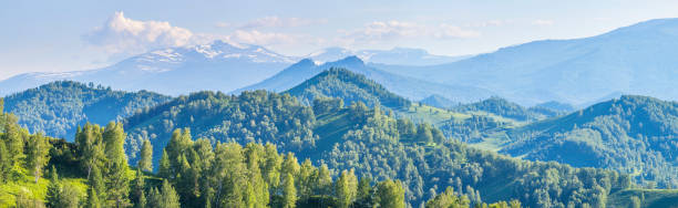 istock Panoramic mountain view. Spring greens of forests and meadows. 1305971145