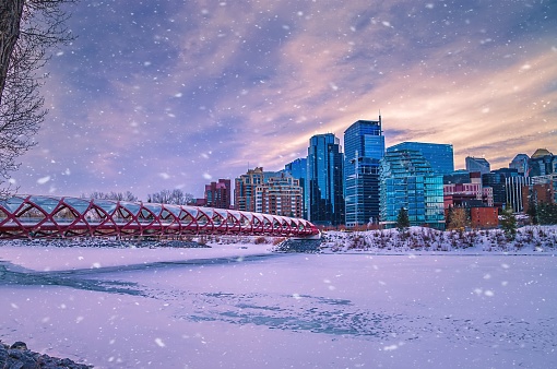 A scenic view of snow falling down over the Peace bridge and a wintry Bow river in Calgary.